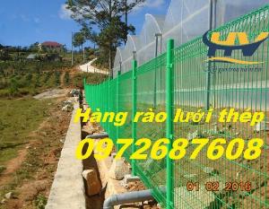 Lưới thép hàng rào mạ kẽm, hàng rào lưới thép, hàng rào kẽm tại Bình Phước