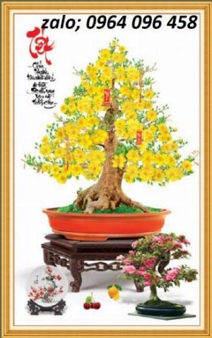 Tranh hoa mai - gạch tranh 3d hoa mai - GCCC4