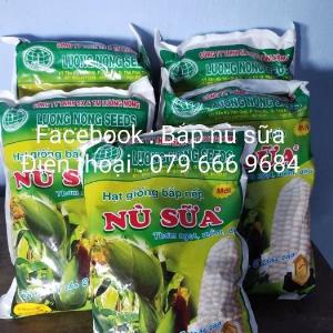 Hạt giống ngô nếp nù sữa dẻo Lương Nông gói 1kg - miễn phí giao hàng toàn quốc