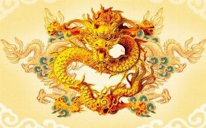 Tranh gạch 3d rồng phượng - FDS3