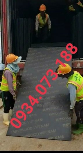 Ván ép phủ phim cho các công trình xây dựng