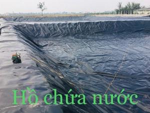 Màng chống thấm HDPE giải pháp công nghệ chống thấm cho ao nuôi