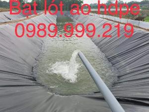 Màng chống thấm HDPE giải pháp công nghệ chống thấm cho ao nuôi