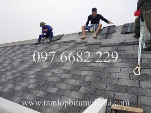 Nơi bán Tấm lợp bitum CNX Shingle, giá rẻ nhất thị trường, vận chuyển toàn quốc