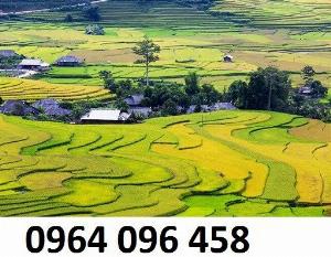 Tranh gạch 3d ruộng bậc thang - 211SB
