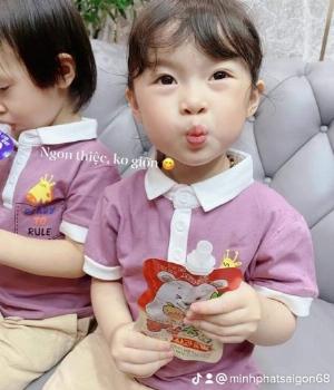 Hồng Sâm ChuChu Chu Chu Hàn Quốc cho bé