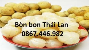 Cung cấp giống cây bòn bon Thái Lan , giao hàng toàn quốc .