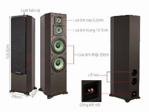 Loa Đứng Paramax F-1000 khuyến mãi DVD Paramax LS-3000