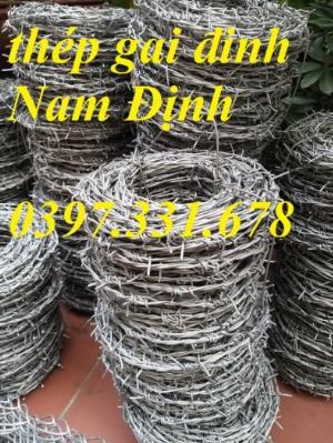 Dây thép gai nhọn, hàng rào thép gai nhọn mới 100%