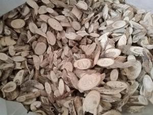 Mộc Thông Thảo Dược