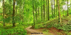 Tranh gạch men 3d phong thủy mệnh hỏa - 643DN