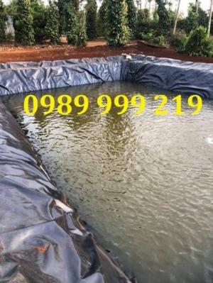 Màng chống thấm HDPE 0.5mm biện pháp công nghệ không thấm nước cho ao nuôi.