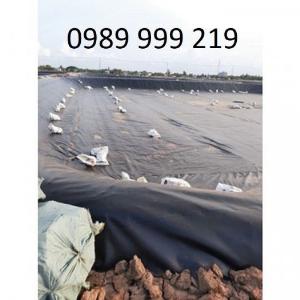 Lý do nên làm hồ ao nuôi thủy sản bằng màng chống thấm HDPE 0.3mm