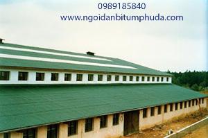 Tấm lợp sinh thái Corrubit