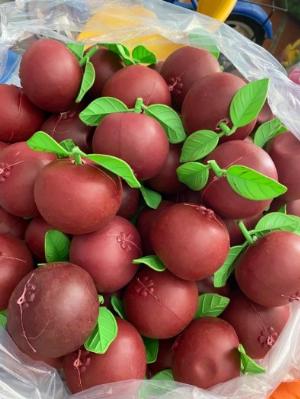 Độ đồ chơi dinh dưỡng dành cho trẻ em
