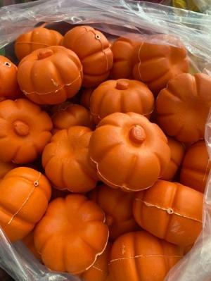 Độ đồ chơi dinh dưỡng dành cho trẻ em
