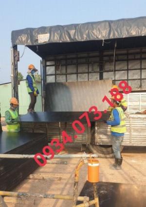 Ván ép cốp pha phủ phim Plywood VietNam