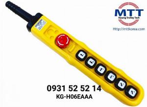 Tay bấm cầu trục 6 nút 1 tốc độ h06eaaa