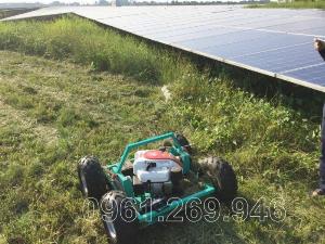 Robot cắt cỏ điều khiển từ xa động cơ xăng 7HP cho nhà máy điện mặt trời