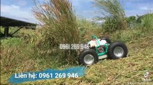 Robot cắt cỏ điều khiển từ xa động cơ xăng 7HP cho nhà máy điện mặt trời