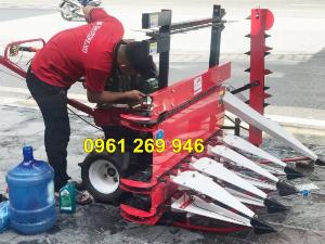 Máy thu hoạch cỏ voi 8HP có lưỡi cắt chống rối