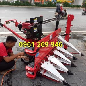 Máy thu hoạch cỏ voi 8HP có lưỡi cắt chống rối