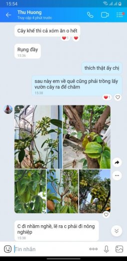 Phản Hồi của Khách Hàng sau 2 năm mua giống cây và trồng cây bên Trung Tâm .