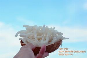 Combo 5kg Mứt dừa non Tâm Đức mềm dẻo, ít đường, hút chân không cẩn thận