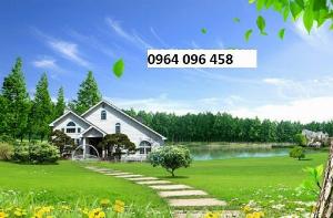 Tranh gạch 3d cây cối - DCX22