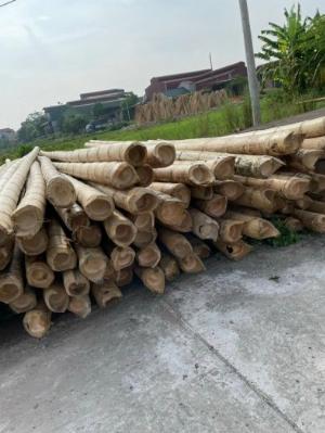 Kho tre trúc Miền Nam, kho trúc Miền Nam, kho cây tre trúc Cao Bằng tại TP HCM