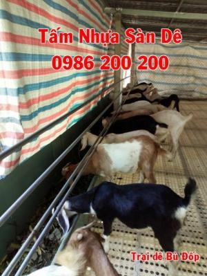 Sàn dê lỗ tròn giá rẻ