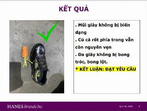 Giày bảo hộ DH - group 20