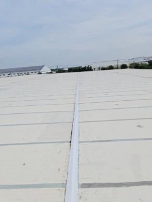 Màng chống thấm tự dính - chống tia UV Premseal
