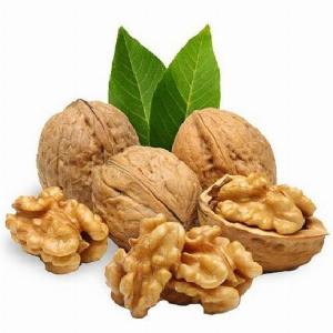 Cây óc chó -Cam kết giống chuẩn, năng suất cao
