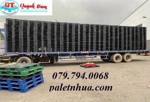 Thu mua pallet nhựa Long An