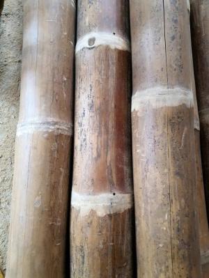 Bán cọc tre các loại, cọc tre xuất khẩu