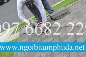 Tấm lợp bitum CNX Shingle, Tấm lợp bitum nhập khẩu