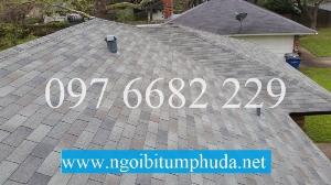 Tấm lợp bitum CNX Shingle, Tấm lợp bitum nhập khẩu