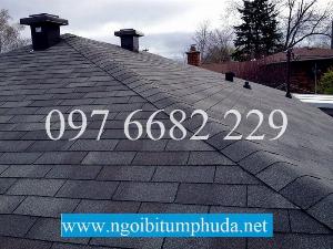Tấm lợp bitum CNX Shingle, Tấm lợp bitum nhập khẩu