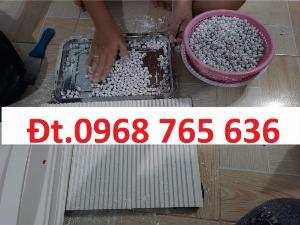 Khuôn vo viên hoàn mềm, Máy tạo viên trân châu tươi