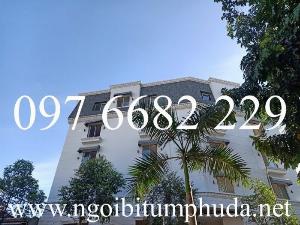 Nơi bán Tấm lợp bitum phủ đá nhập khẩu, tấm dán mái bằng nhựa đường nhập khẩu CNX Shingle