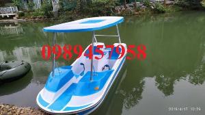 Vịt thiên nga đạp nước, Thuyền đạp cho cả gia đình