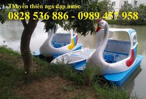 Bán Thiên nga đạp nước chống chìm, Vịt đạp nước