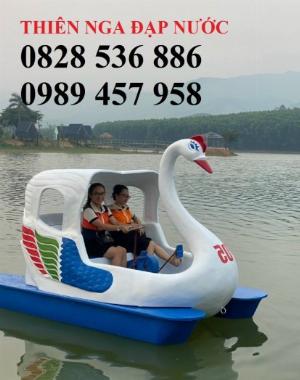 Bán Thiên nga đạp nước chống chìm, Vịt đạp nước