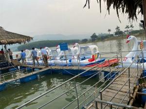 Sản xuất Thiên nga đạp nước, Thiên nga cho khu du lịch