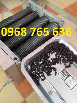 Máy vo viên trân châu viên nghệ viên tam thất mật ong 6mm