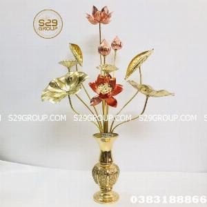 Hoa sen đồng thờ cúng