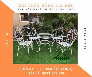 Bàn ghế sắt Tp.HCM Hồng Gia Hân S0821