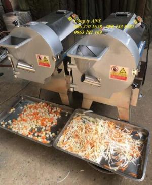 Máy thái củ quả công nghiệp các kiểu, máy thái lát, sợi, hạt lựu măng, khoai tây, cà rốt...