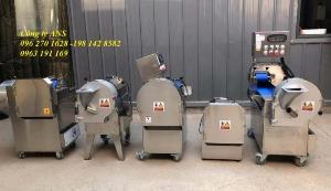 Máy thái củ quả công nghiệp các kiểu, máy thái lát, sợi, hạt lựu măng, khoai tây, cà rốt...